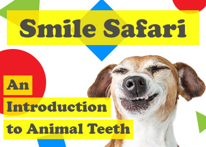 Bountiful dentist, Dr. Anthony Baird at Millcreek Family Dental, takes readers on an exploration of animal teeth and explains why they can be so different from creature to creature.